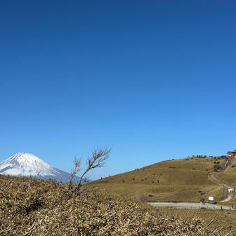 富士山と箱根神社