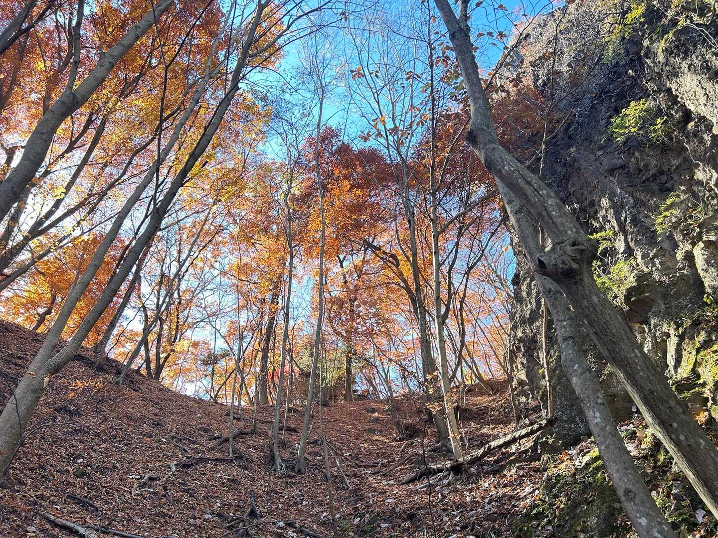 分岐過ぎると紅葉🍁スポット