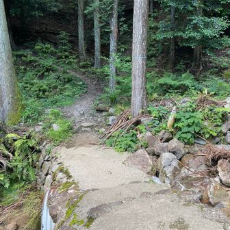 平尾登山口まで戻って来ました
下りはいつものなだらかルート
ココからまだアスファルト道がある…