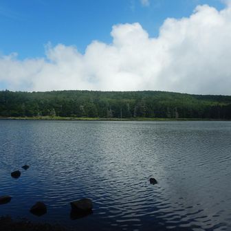ここでも夏の景色
