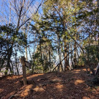 滋味滋味～～

さっきの三笠山のほうが風格あるくない？どうして諏訪山が関東百名山に選出されたんだろうね