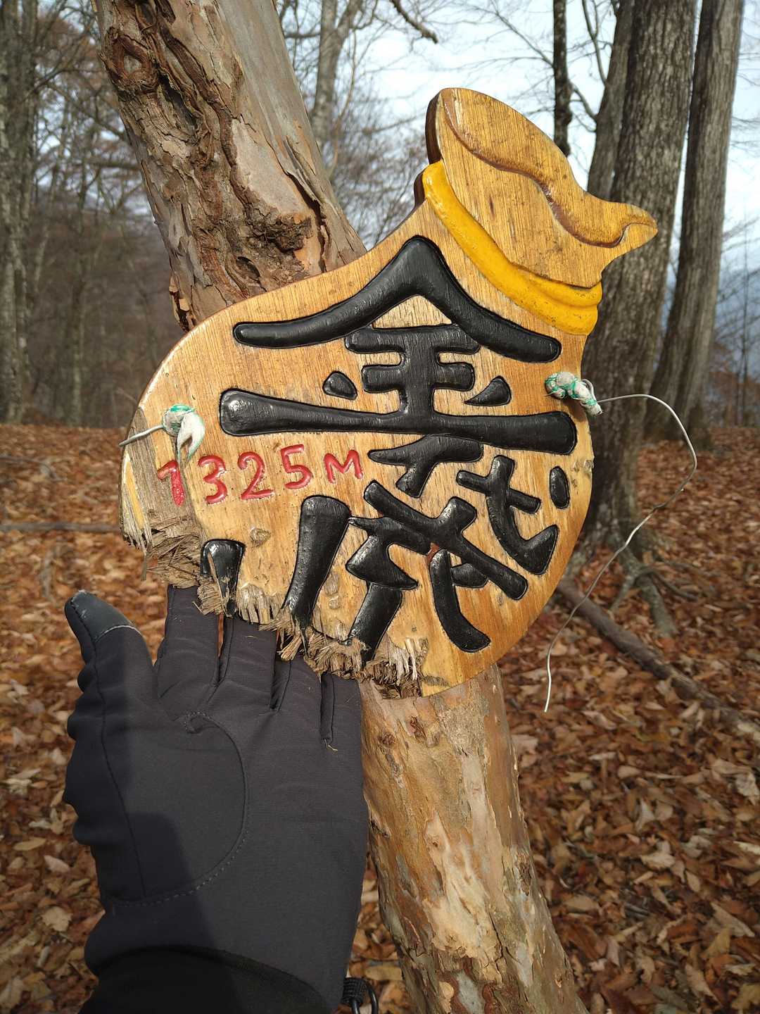金袋山　到着