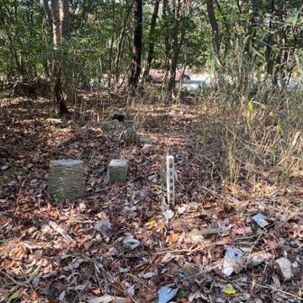 本日のルートで唯一の山⛰️
道路から10mほどのゴミが散乱する林の中に三角点がありました。すぐ側まで宅地が迫り、山ごと削られなかっただけ幸いなのかもしれません。