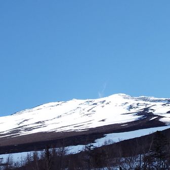 春・夏スキーだいすきー