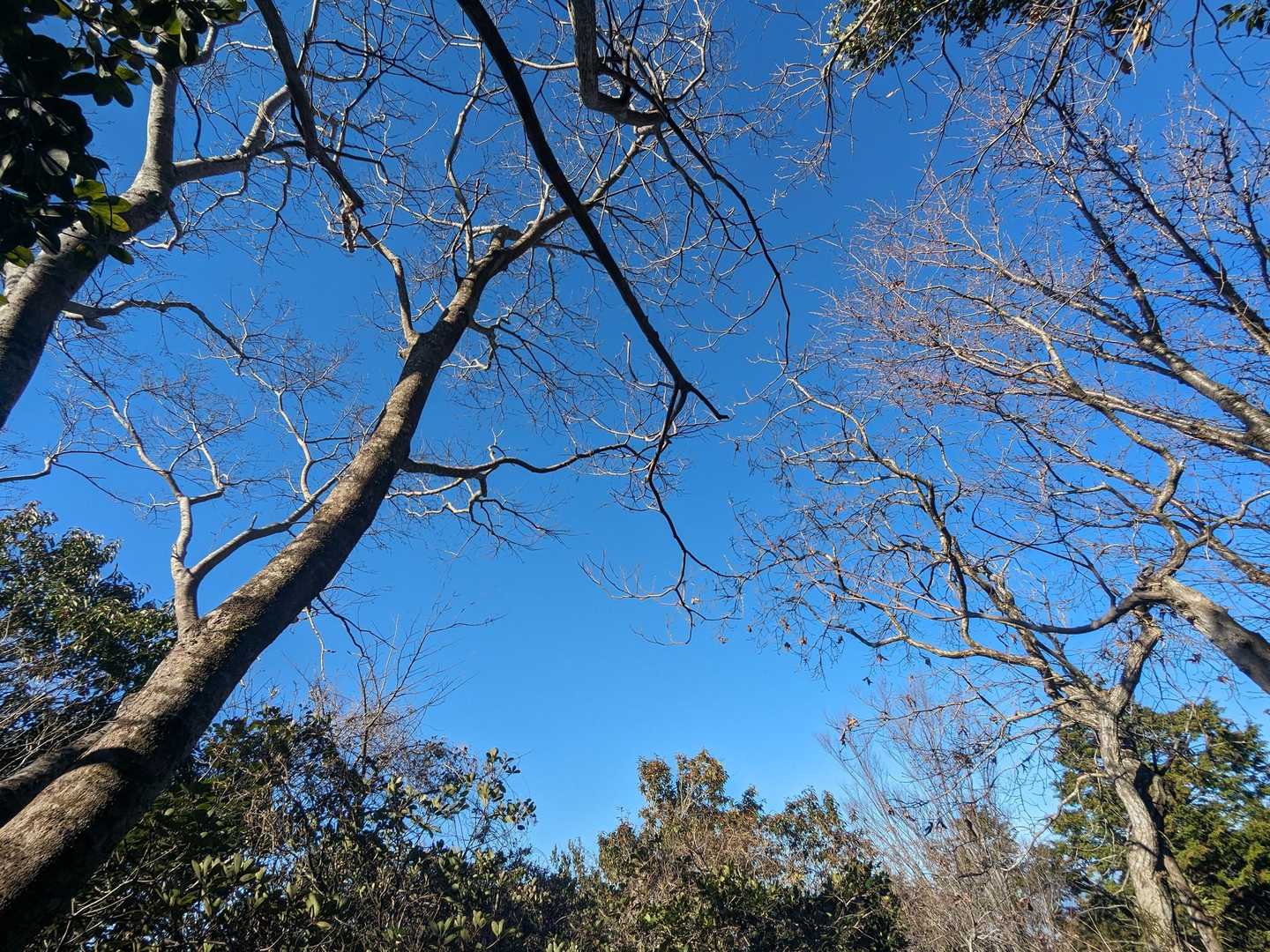 明るくていいコース♫