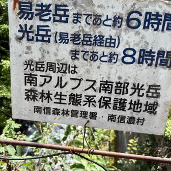 芝沢から易老渡までは3ヶ月前に歩いた道。光岳と聖岳登山では聖の方がきつかった…高度差もあるので、酸素濃度も違うのかもしれない。