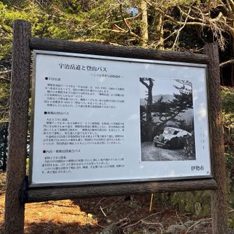 登山バスもあったらしい。
富士山みたいだねー