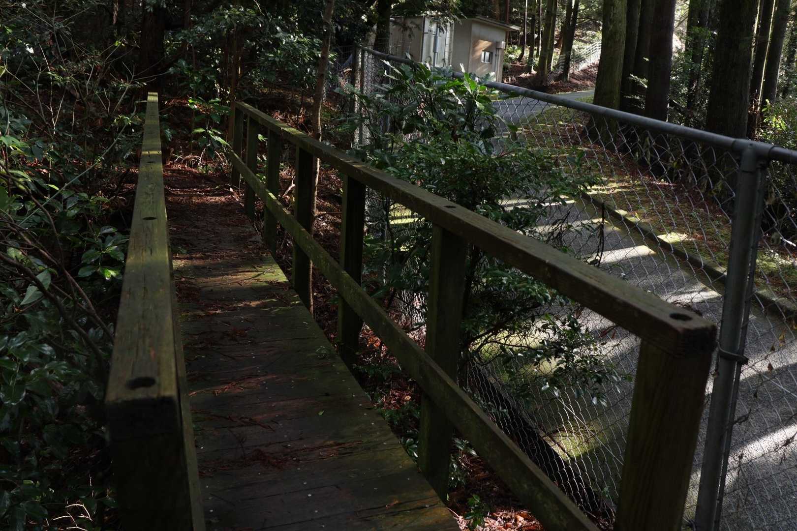 ゴルフ場の横を抜けるように木の橋があります。
ちょっとだけ揺れてぐらぐらした💦