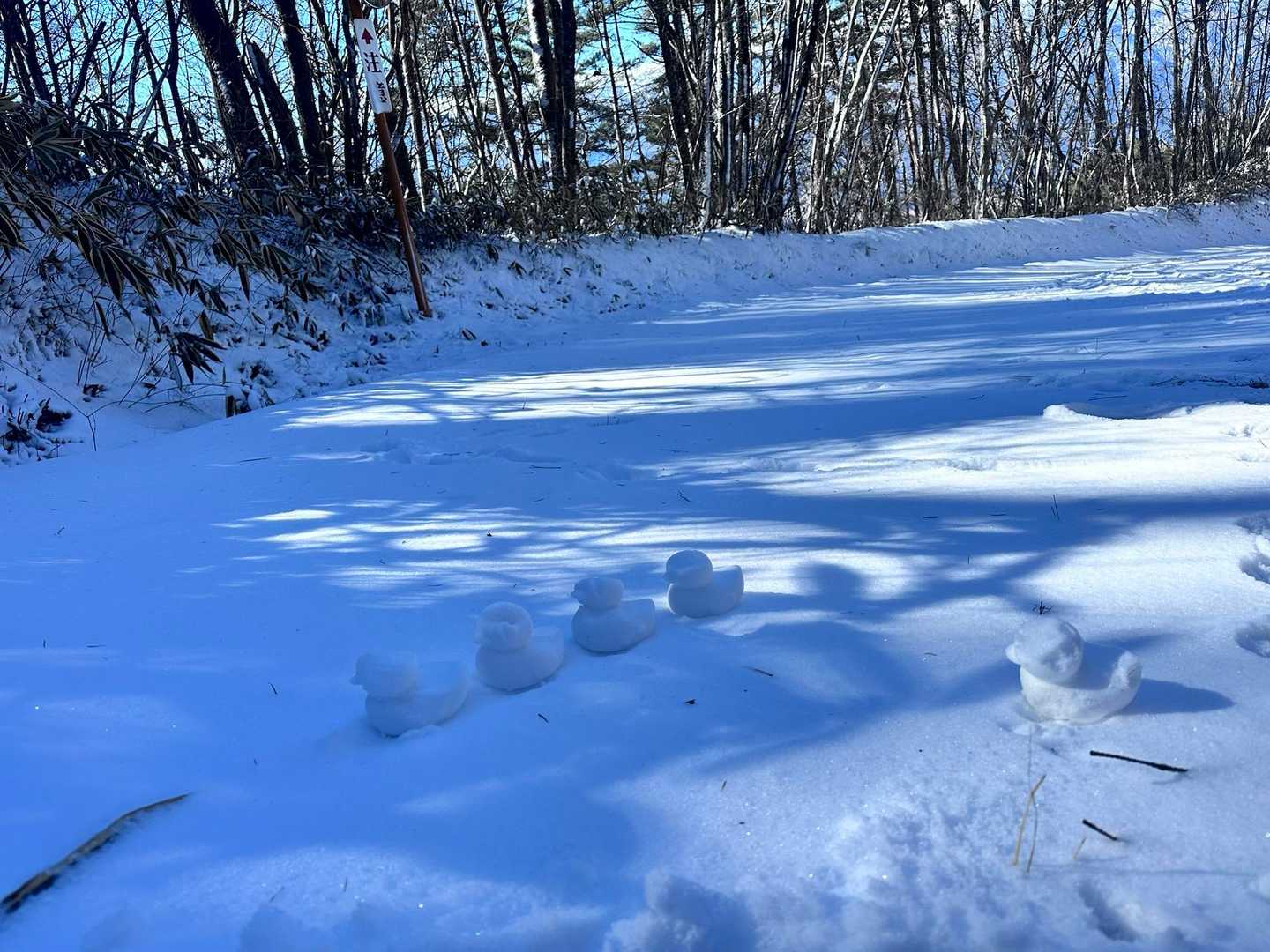 陣馬形山 往復コースの写真