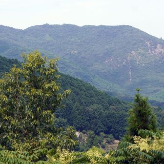 黒沢山