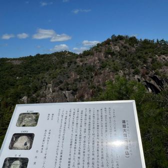 この山に掘ったらしい