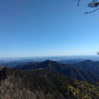 また今度行きます、と
