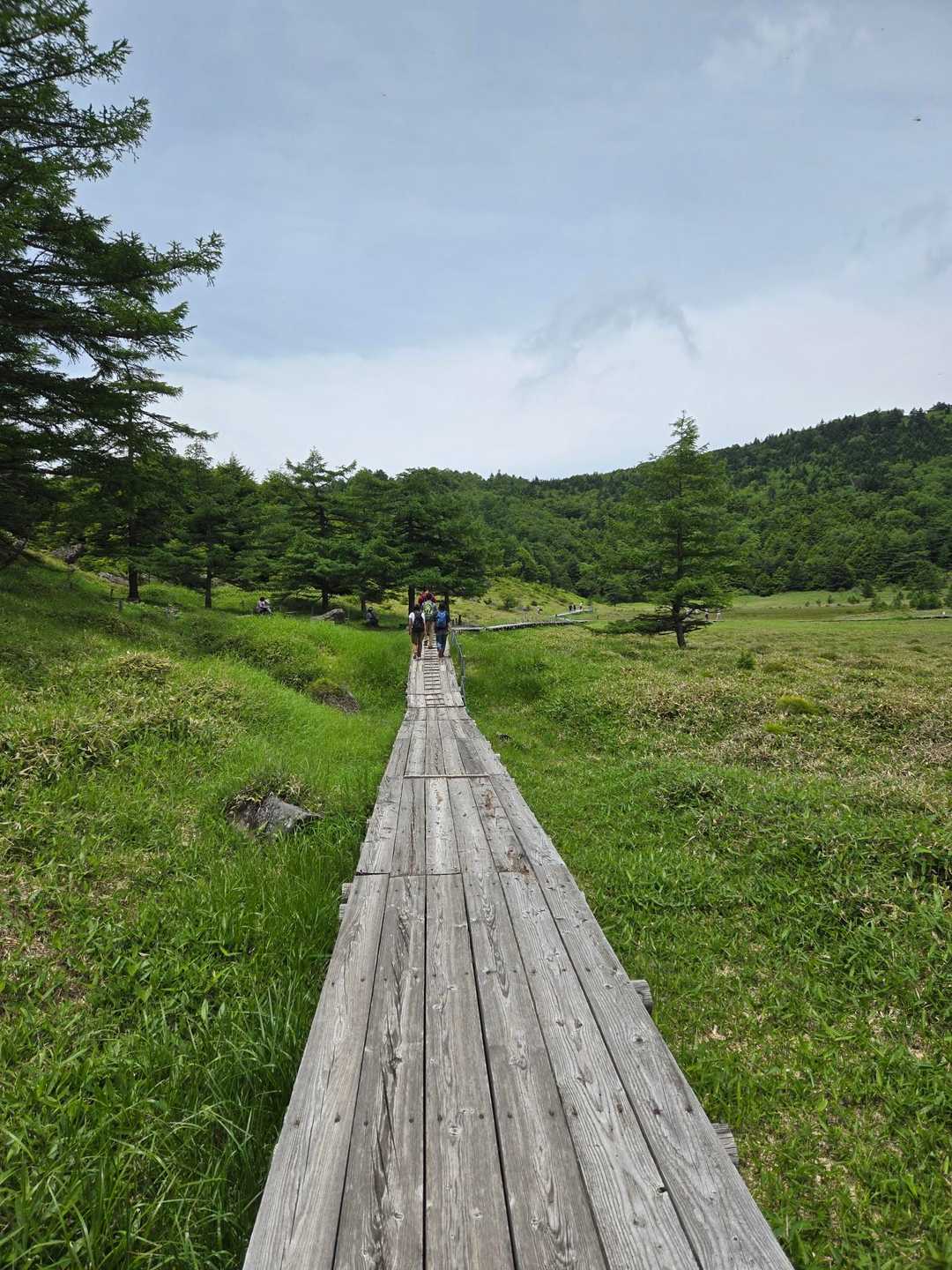 池ノ平湿原入口-雷の丘-雲上の丘-見晴岳-三方ヶ峰 周回コースの写真
