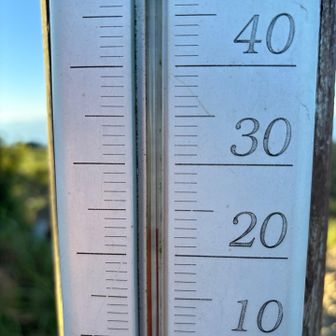 気温23度で涼しい^_^
