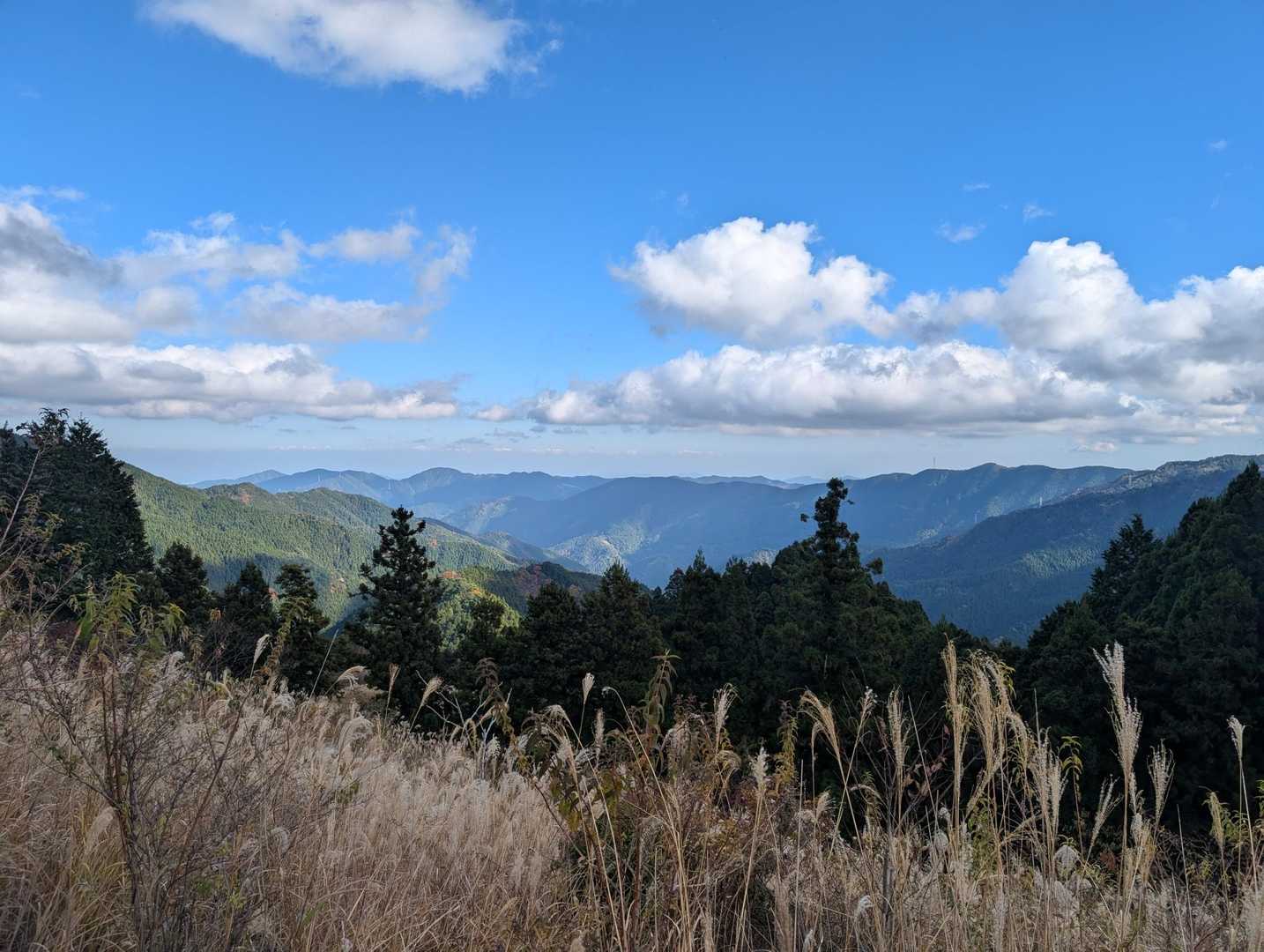 高丸山登山口-三つ尾の峠-高丸山 周回コースの写真