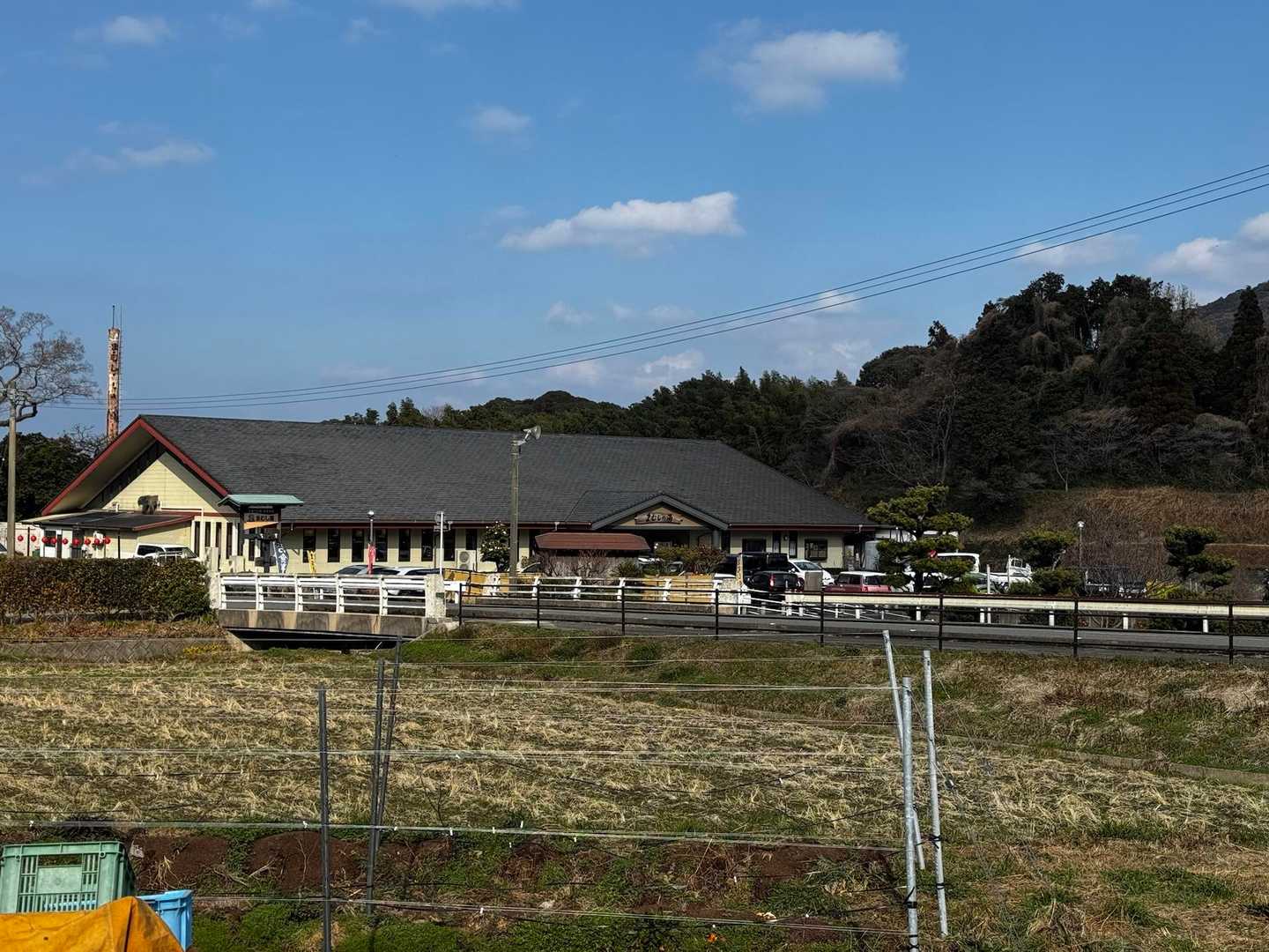 ただいマーチおつかれ山でした🏔️
春の気配を感じられたよい一日でした😌