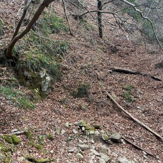 いや、、、行かれへんし。。。

こっちはソロやし、ちょうど2年前、同じ六甲で、こんな道（2年前はもっと酷かった）、チャレンジ仕掛けて、死にかけた苦い経験もあるし、、、、

勇気ある？？？撤退😢😢😢

チキン🍗と言われるやろうな。。。
