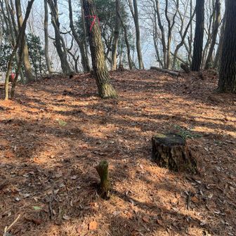 着いた、水無峠からの方が急だけどね、仏谷峠からも楽では無い