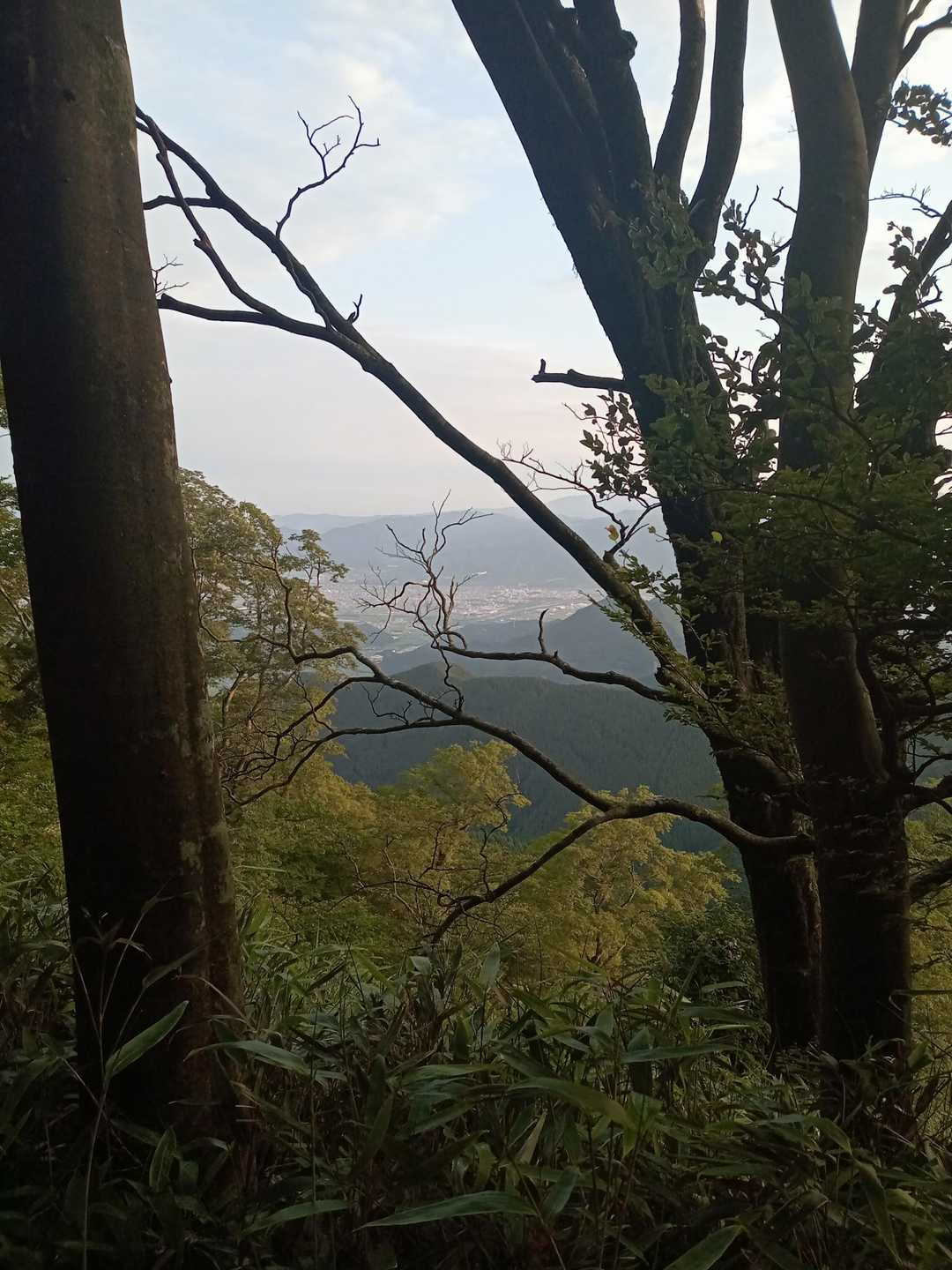 上林峠-陣ヶ森-前々司山-うなめご 往復コースの写真