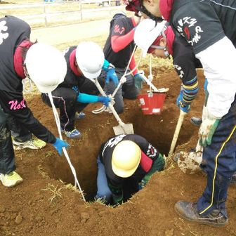 もぐら蜂（歩人）