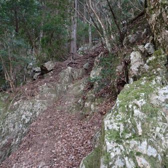 岩場に鎖。ほかの方のレポートを見ていたので鎖があるのは知っていて犬のリード程度かと思っていたら、太く立派な鎖で驚いた。