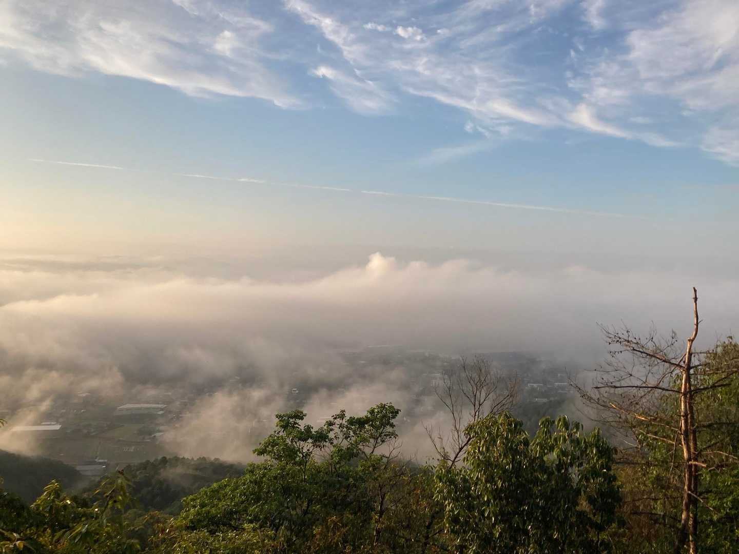 米田白山-米田白山登山口 周回コースの写真