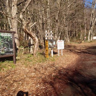登山口
熊鈴忘れて1度車に戻る