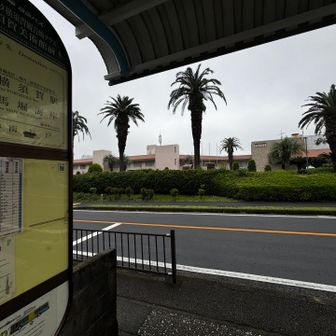ラビスパ横須賀観音崎テラスバス停でフィニッシュ！