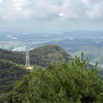 展望台からの景色