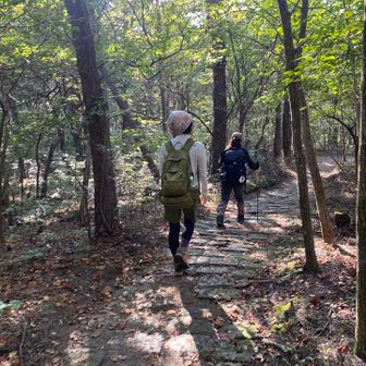 らっきょさん、10日ぶりですね♡⛰️