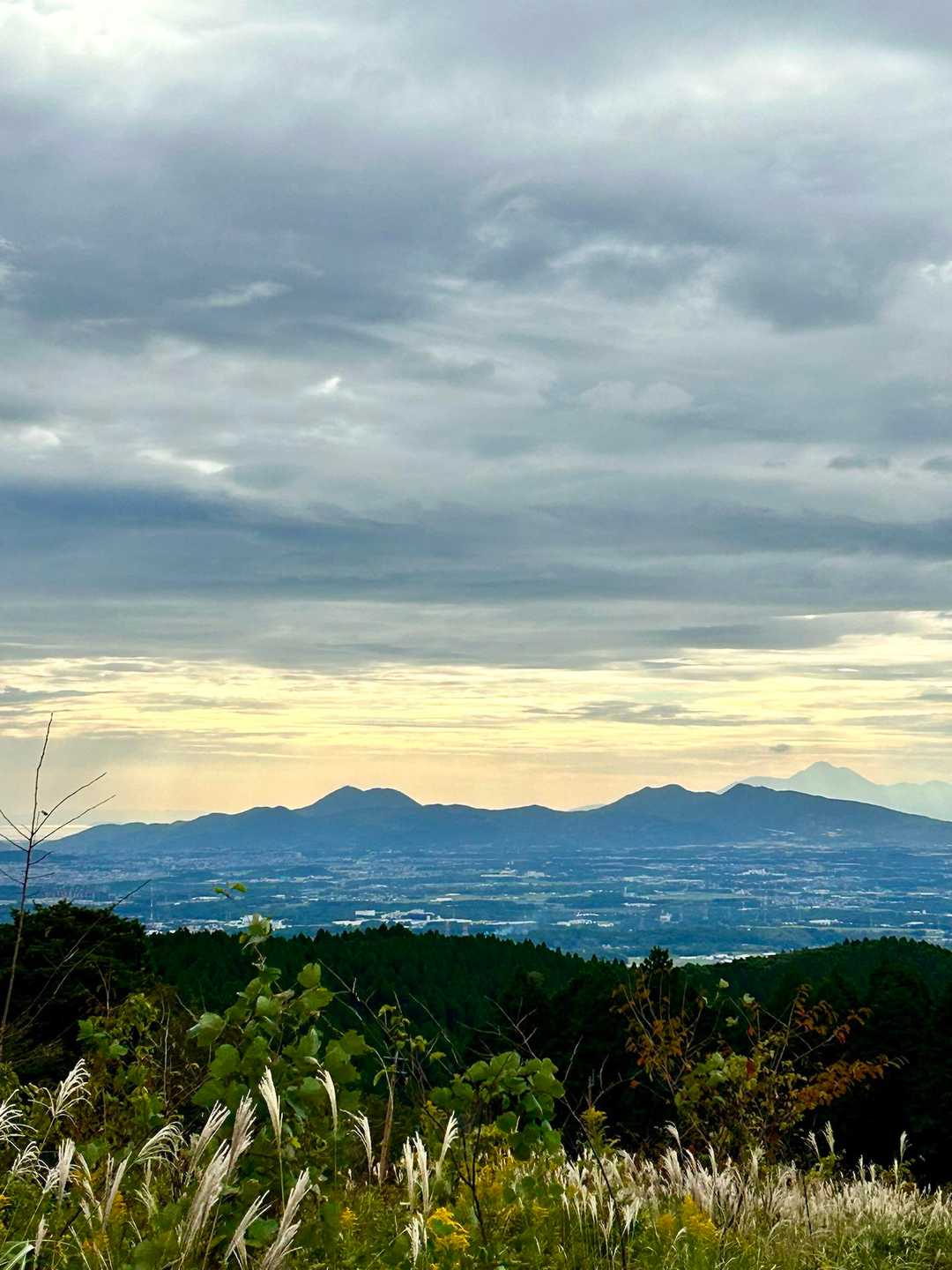 次の山行は晴れますように！
今年の紅葉シーズンは天気悪いな…