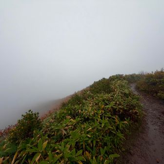 下ります⛰️🏃‍♂️‍➡️