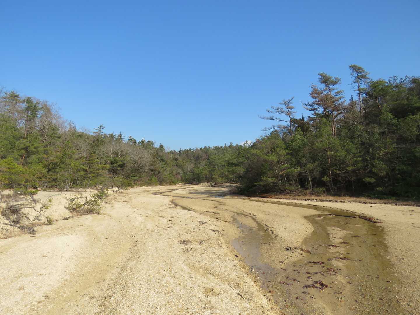 砂の河原です。
景色最高にいい感じです。