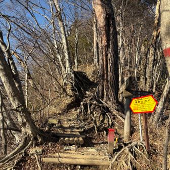 体調が万全ならと悔やむ