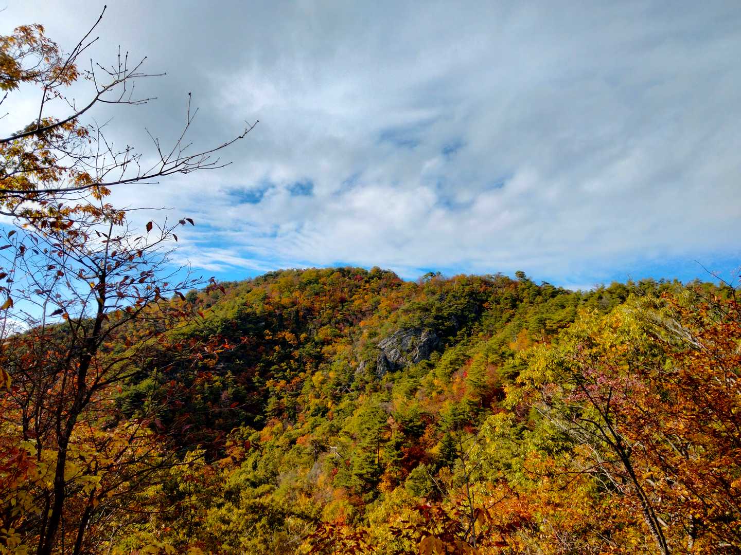 小谷城跡-小谷山-福寿丸跡-山崎丸跡 周回コースの写真