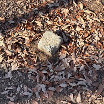 欠けた三角点😂