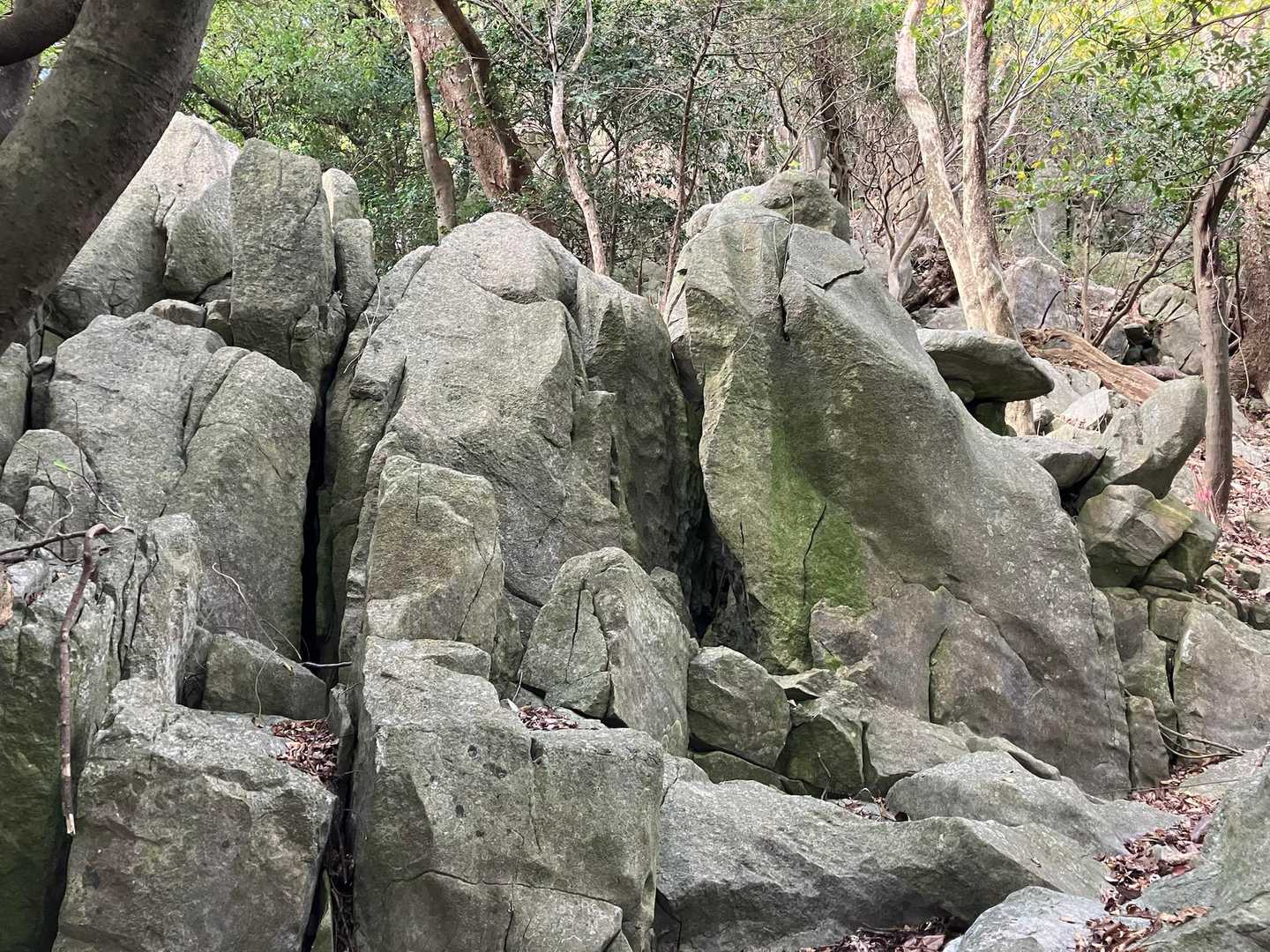 竜ヶ鼻 周回コースの写真