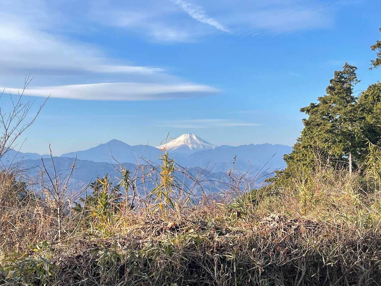 もみじ台からの富士山