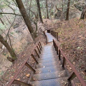 急な階段を七代の滝へ下ります