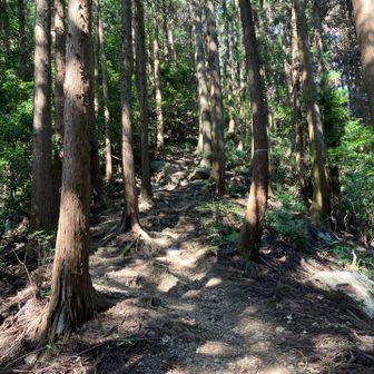 登ります。