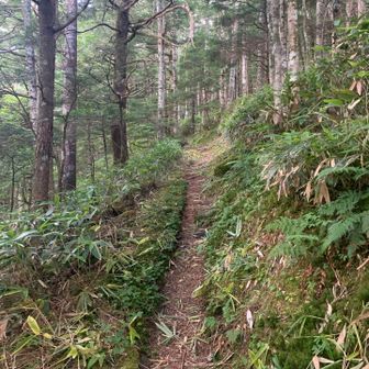 登山道は、少し狭いですが、笹も刈られていて、素晴らしいコンディション👍👍