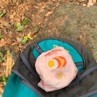 今日はマックです。