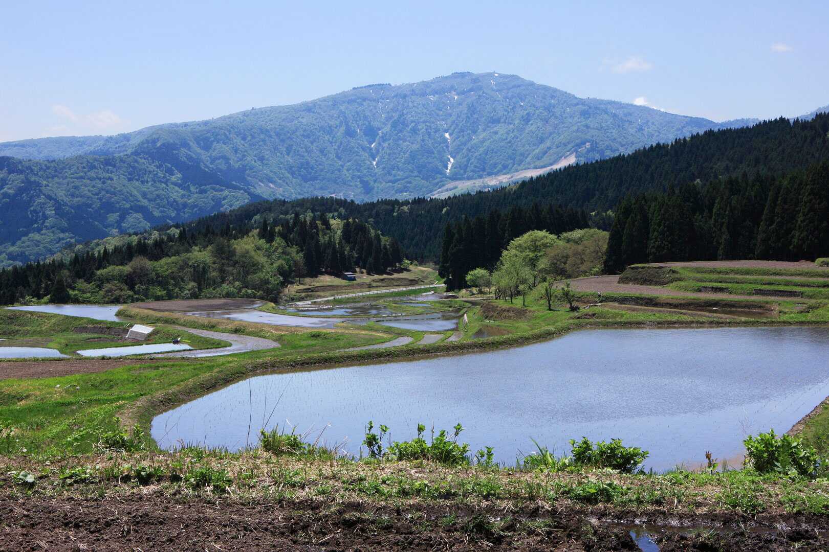 氷ノ山の写真