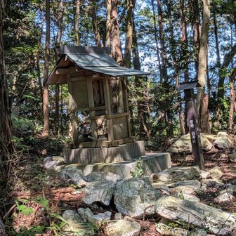 権現山の山頂を過ぎ、白山神社でお参り⛩️