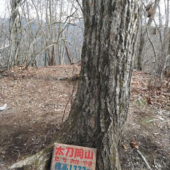 山頂🎉
越道峠へ下山🥾！🍂で登山道ハッキリしないけれど、たぶんコチラ👀✌