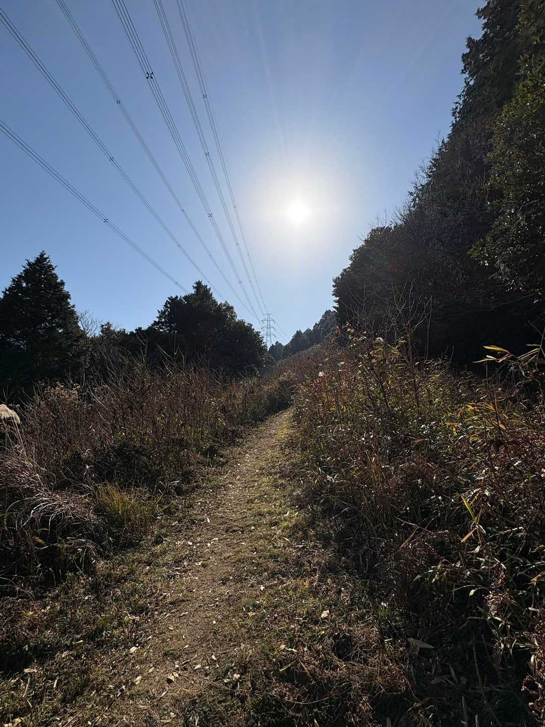開けた坂を登ると…