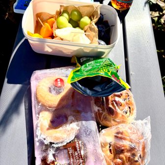 つつじ山でモゴモゴたいむ🍐🍇🥝🍩🥯
ココでもまったりおしゃべりです♪