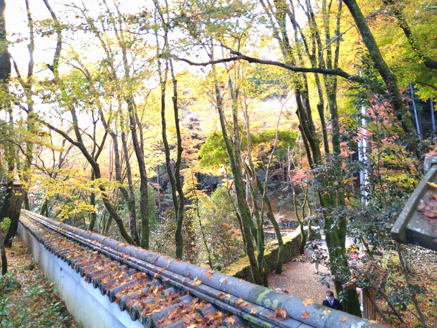 鷹峯源光庵前バス停-上ノ水峠-仏栗峠-栂尾町バス停 縦走コースの写真