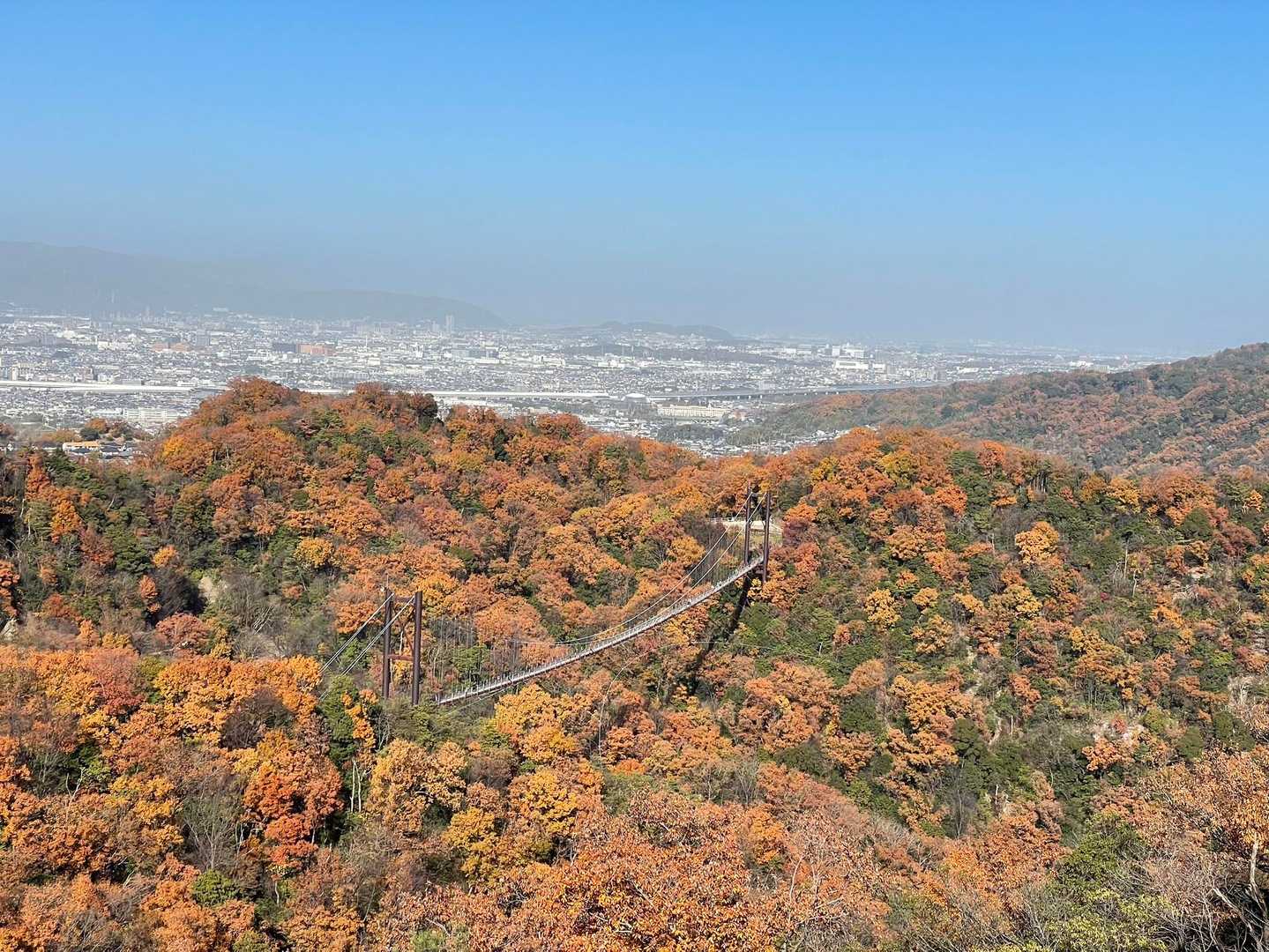 星田連山｜大阪西部の里山探訪。吊橋「星のブランコ」を渡ろう！の写真