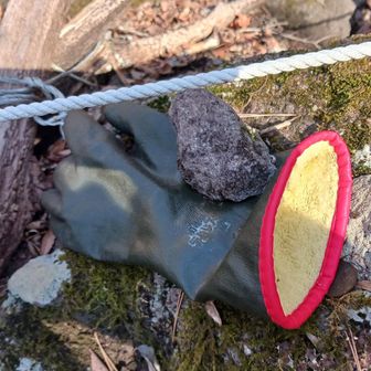 テムレスの落とし物😁